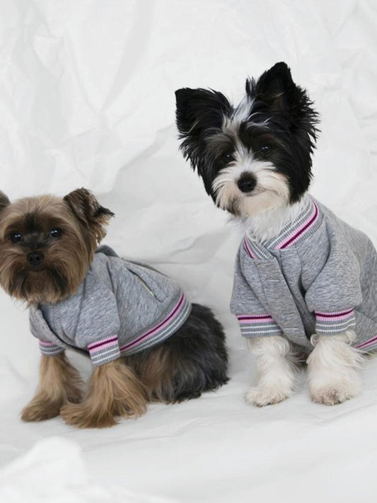 Poldo Dog Couture Baseball Bomber Jacket Grey | C