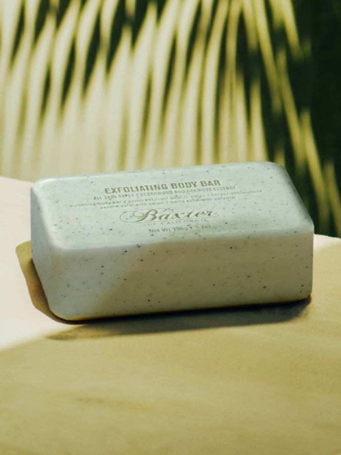Baxter of California Exfoliating Body Bar | C