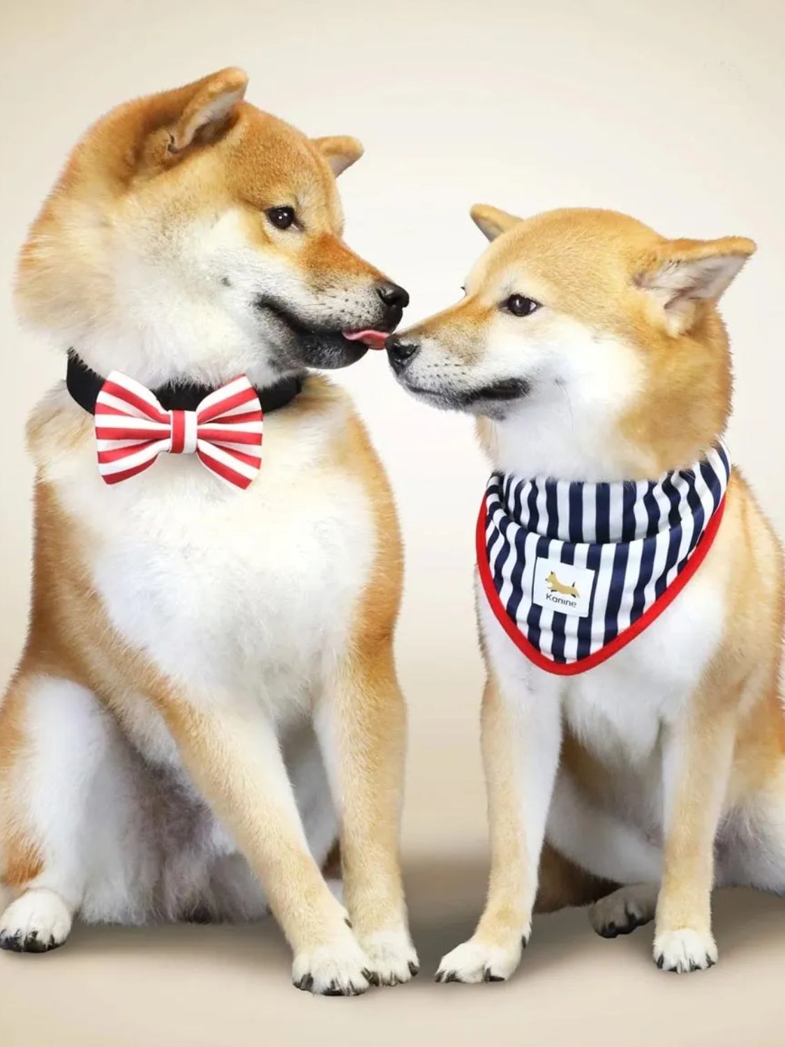 Kanine Bandana And Bow Set Green