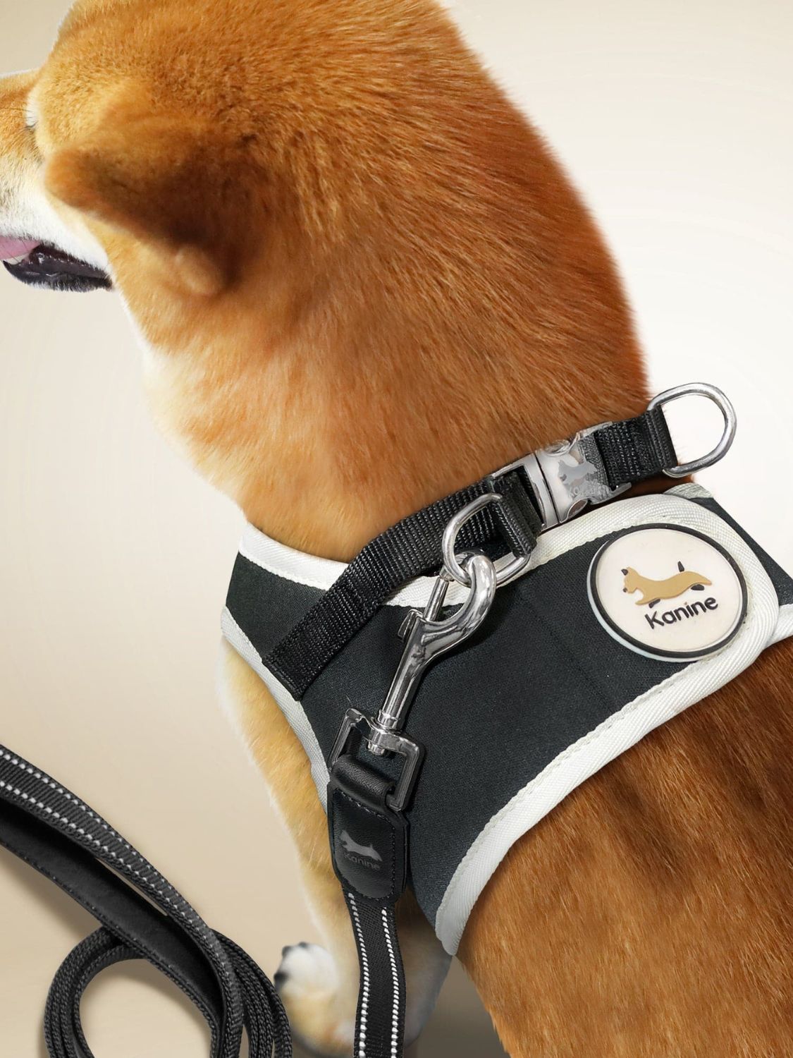 Kanine  Harness Leash Set Black