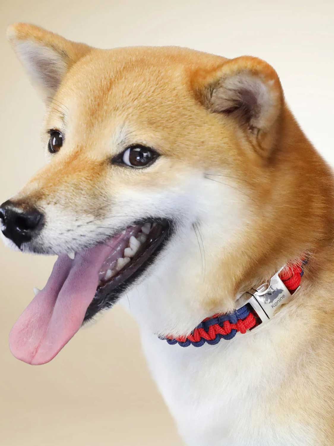 Kanine Rope Collar Burgundy