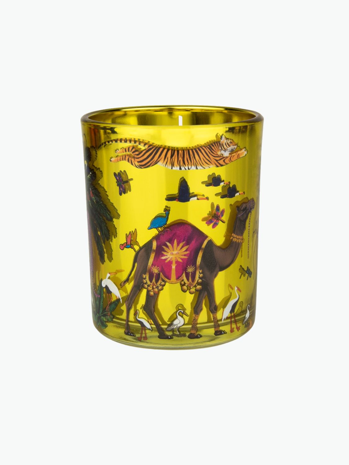 Ortigia Sicilia Zagara Tiger Candle Small
