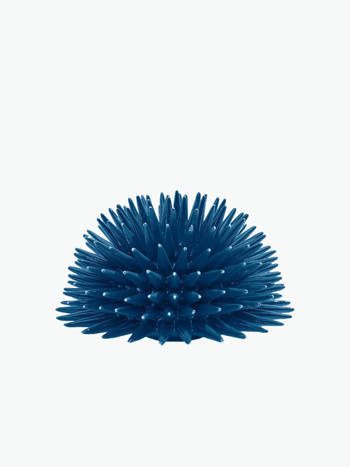 Διακοσμητικό Χώρου Ricciocaprese Riccio Decor Blue Capri