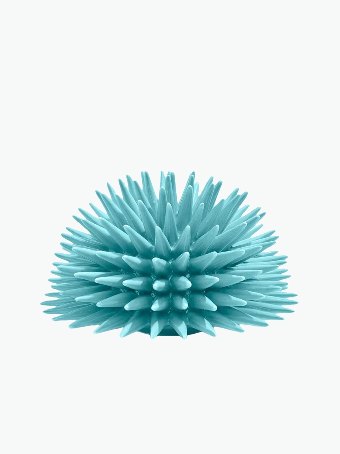 Διακοσμητικό Χώρου Ricciocaprese Riccio Decor Aquamarine