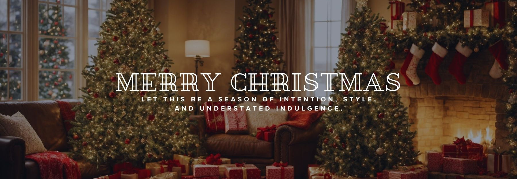 The Project Garments Merry Christmas Wishes Banner