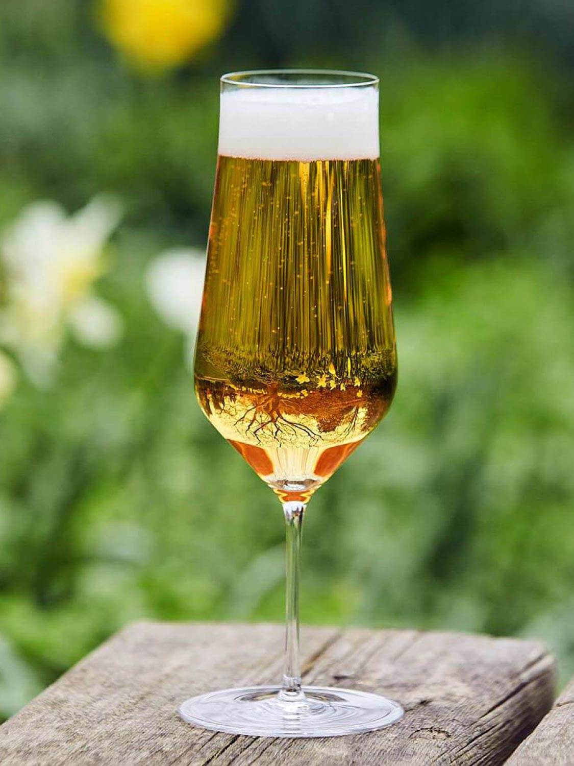 Zalto Beer Denk’Art Glass