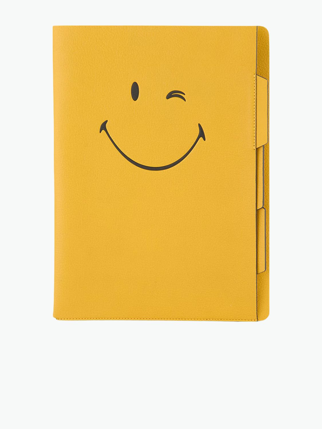 Anya Hindmarch Leather A4 Wink Document Holder