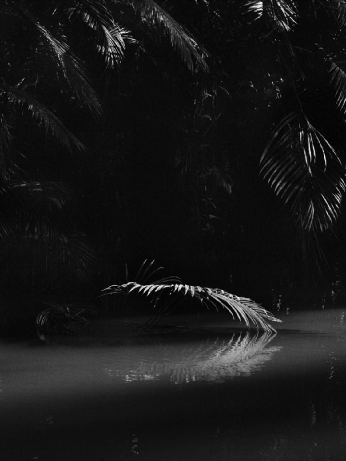 Βιβλίο Coffee Table Book Bresils Amazonie