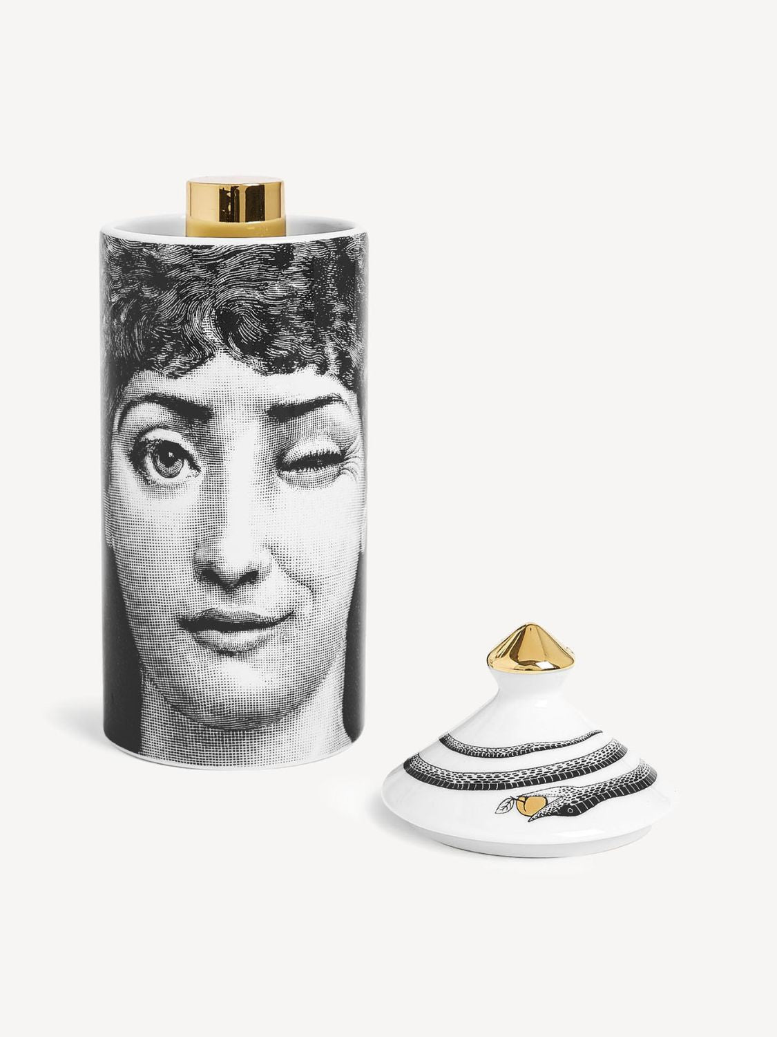 Fornasetti Talvolta Frutto Proibito Mascherina Room Spray