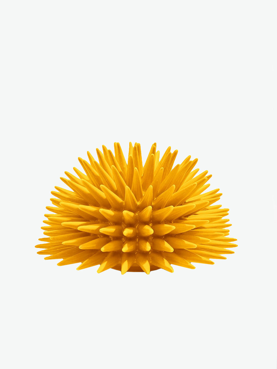 Ricciocaprese Riccio Decor Yellow